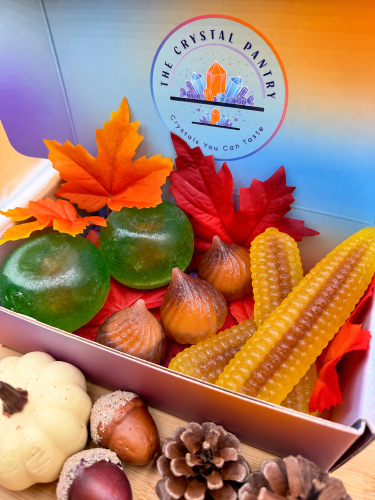 🍁The Harvest Collection