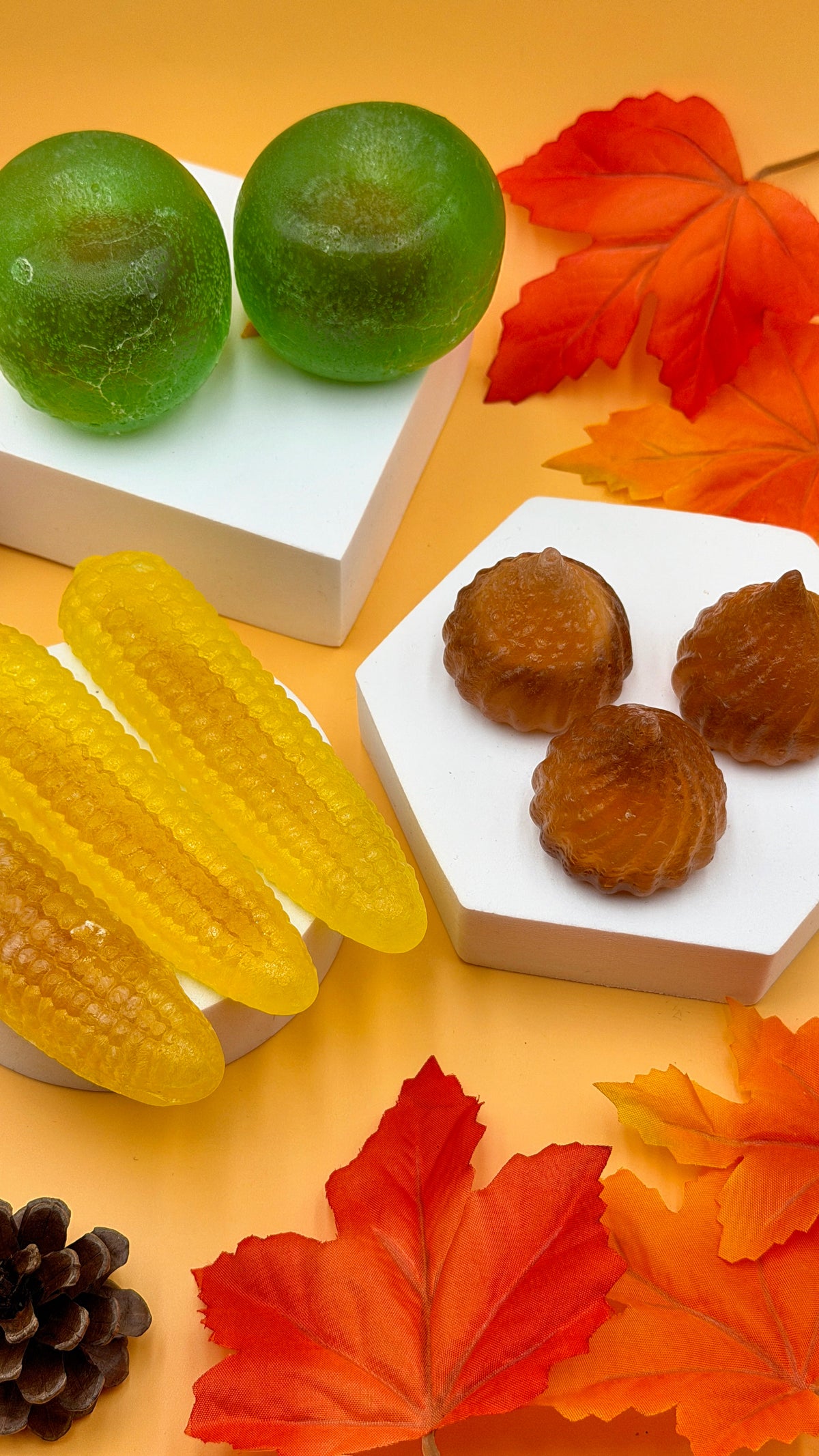 🍁The Harvest Collection